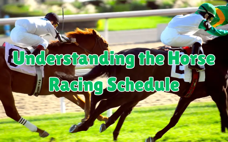 horse racing schedule