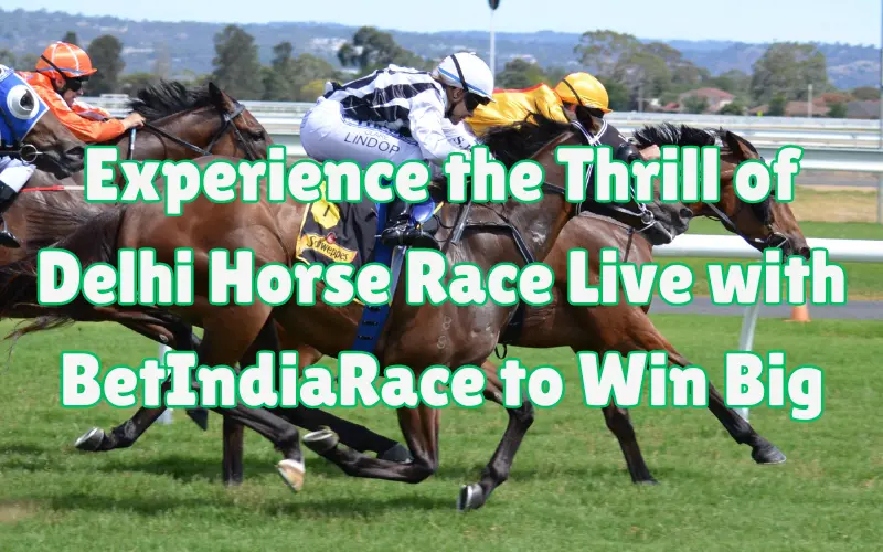 delhi horse race live