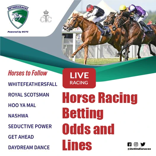 Horse Racing Online Betting Odds and Lines