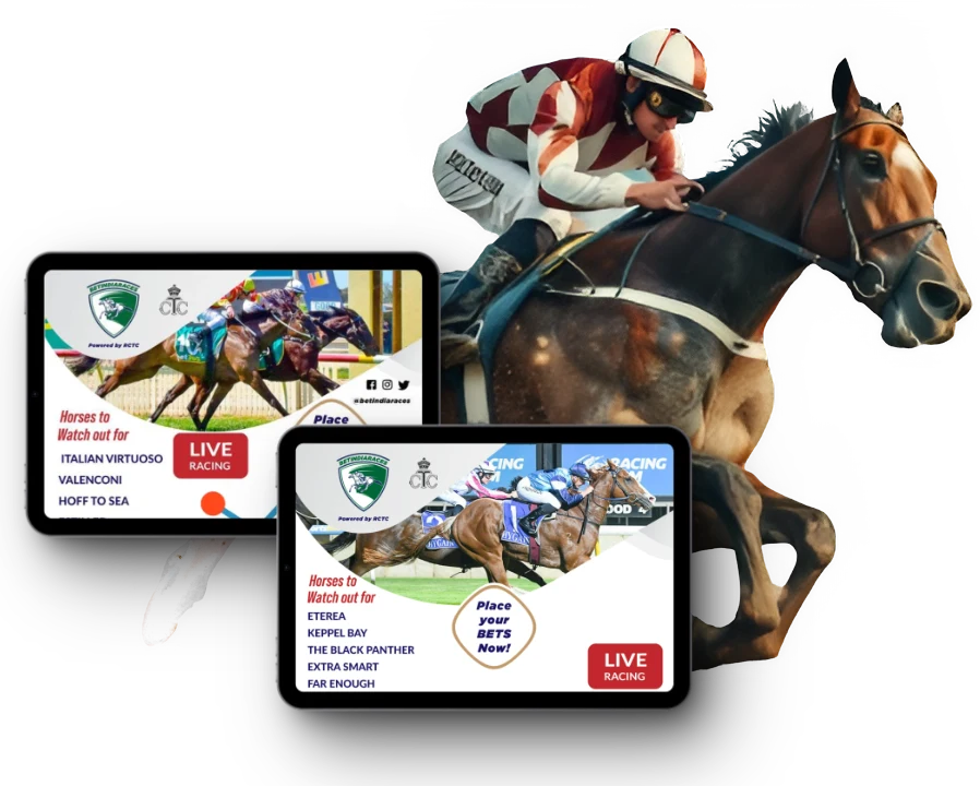 betindiaraces historical data and trends