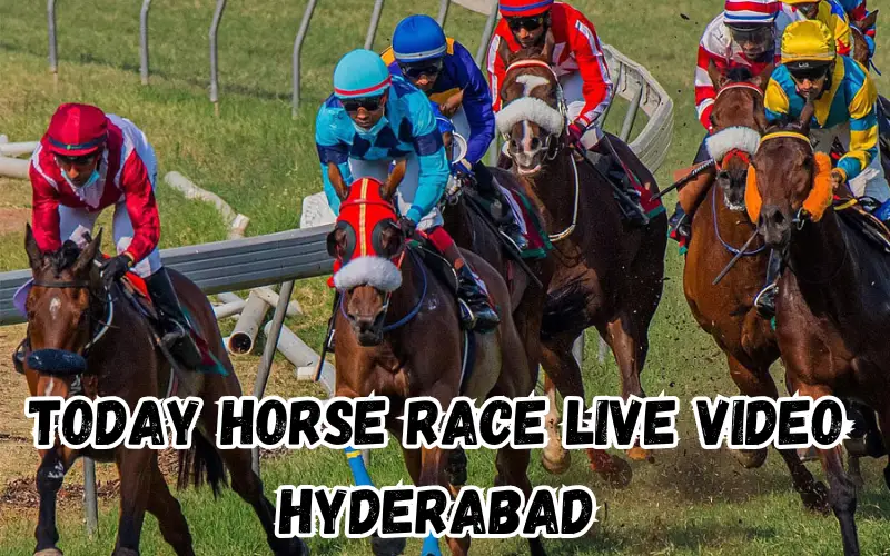 today horse race live video hyderabad