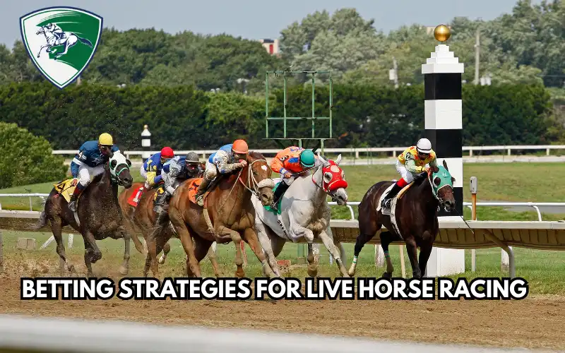 live horse racing