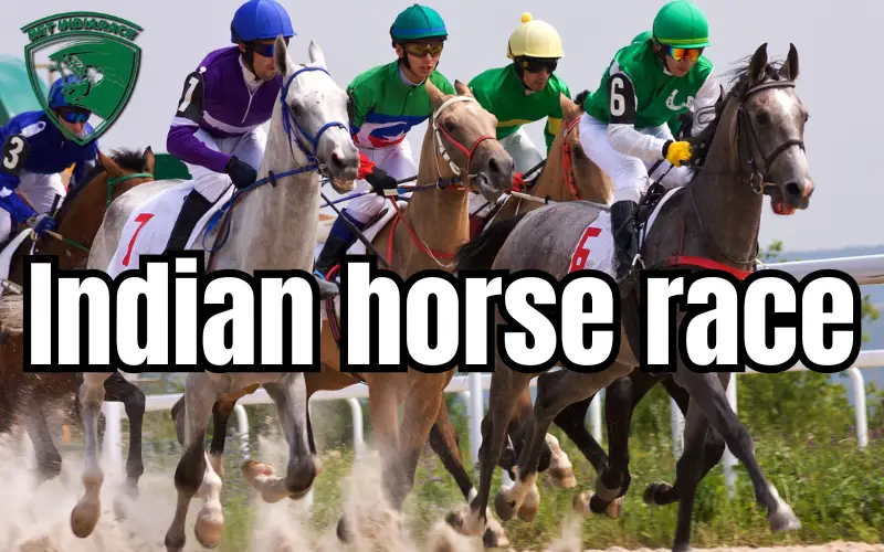 indian horse race